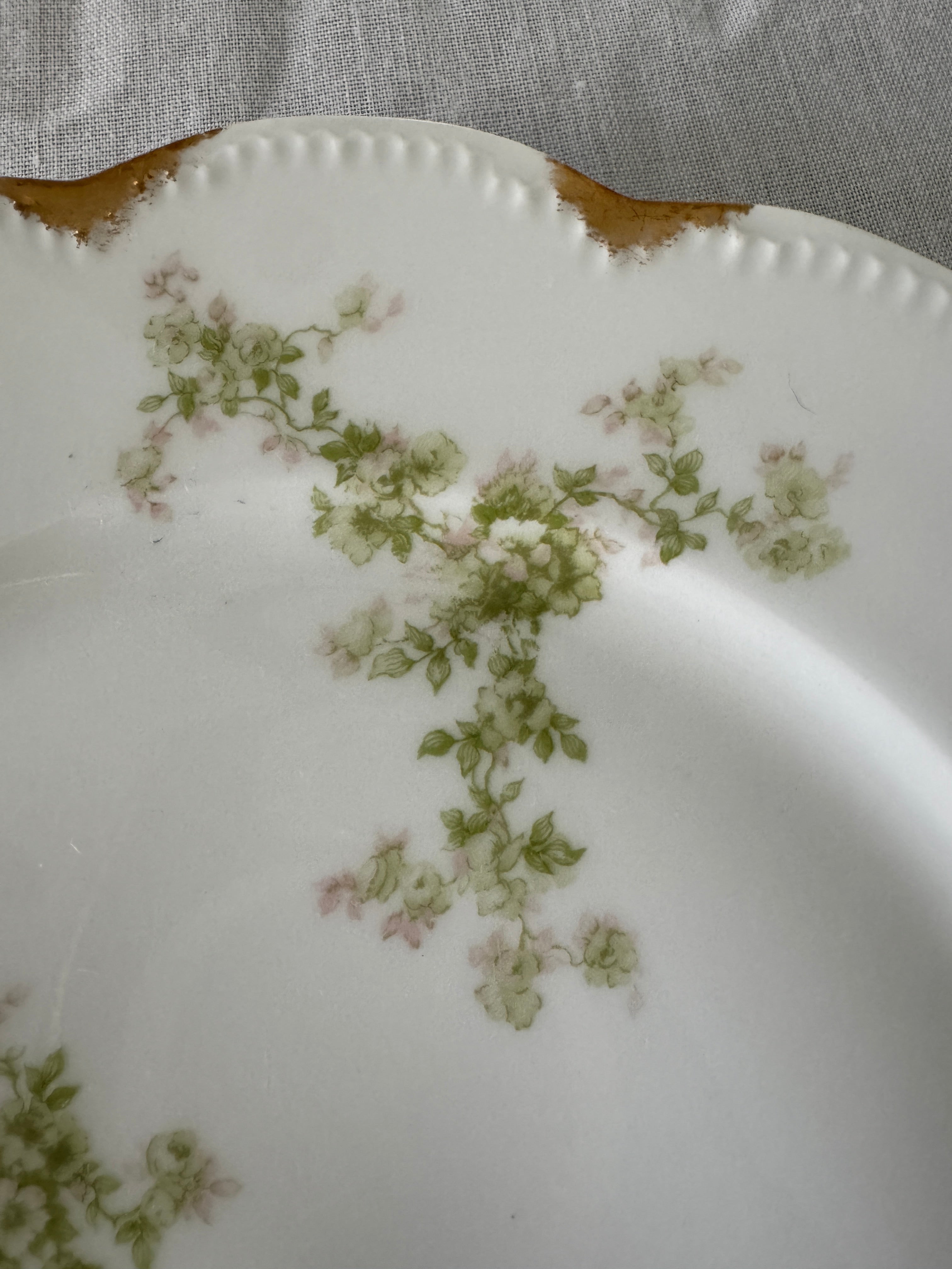 Haviland Limoges Schleiger 67 Dinner Plate, 9.75 Inch