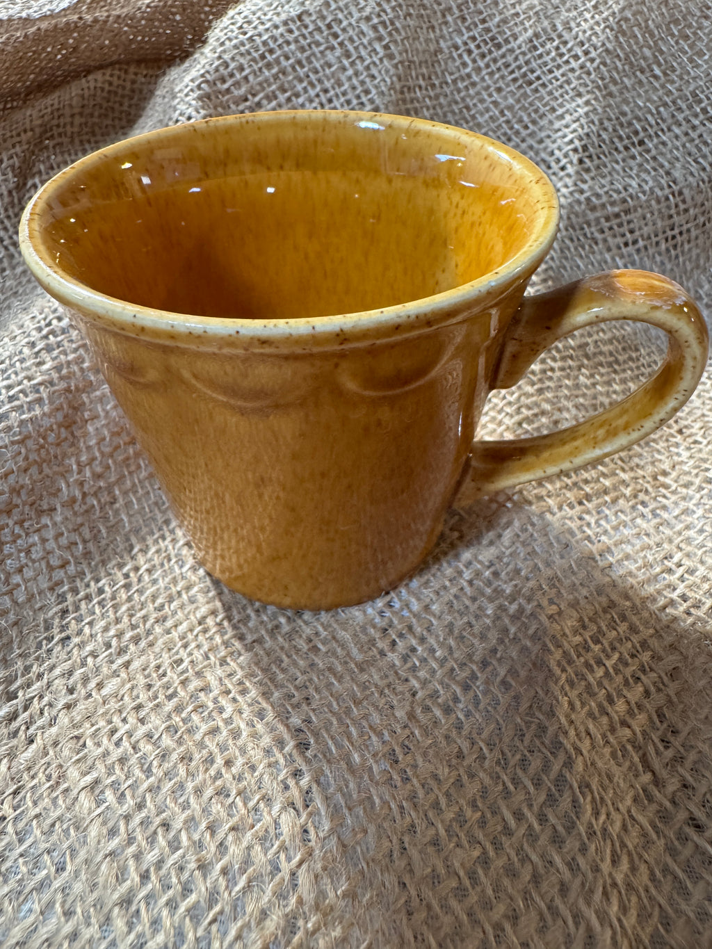 Homer Laughlin Golden Harvest Porcelain Teacup, 3 Inch