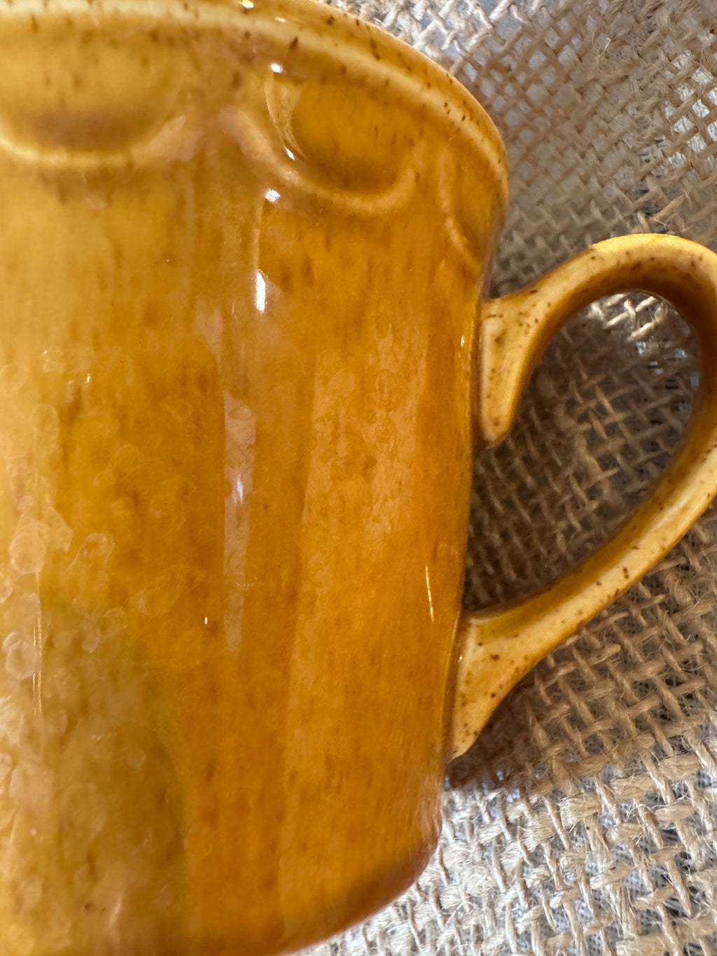 Homer Laughlin Golden Harvest Porcelain Teacup, 3 Inch